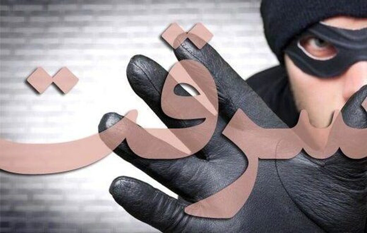 ببینید | لحظه سرقت ۳ ثانیه گردنبند زن میانسال در تهران!