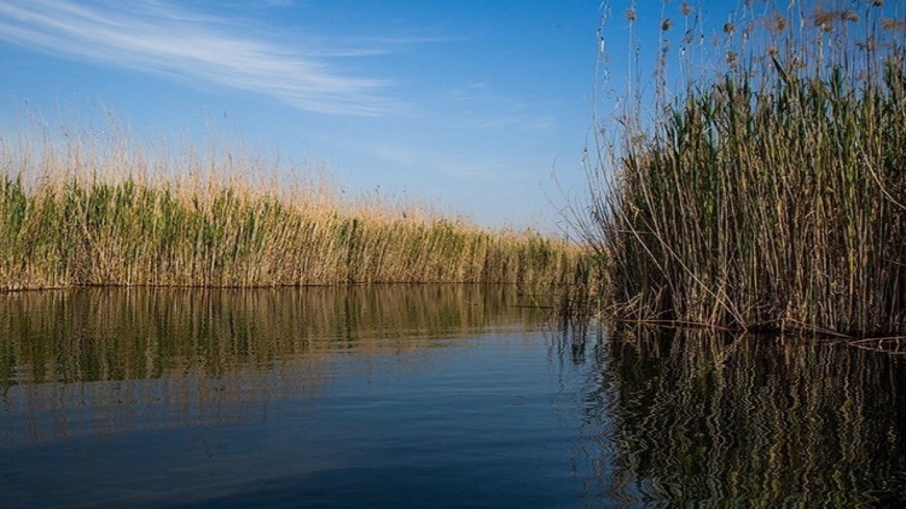 تالاب هورالعظیم