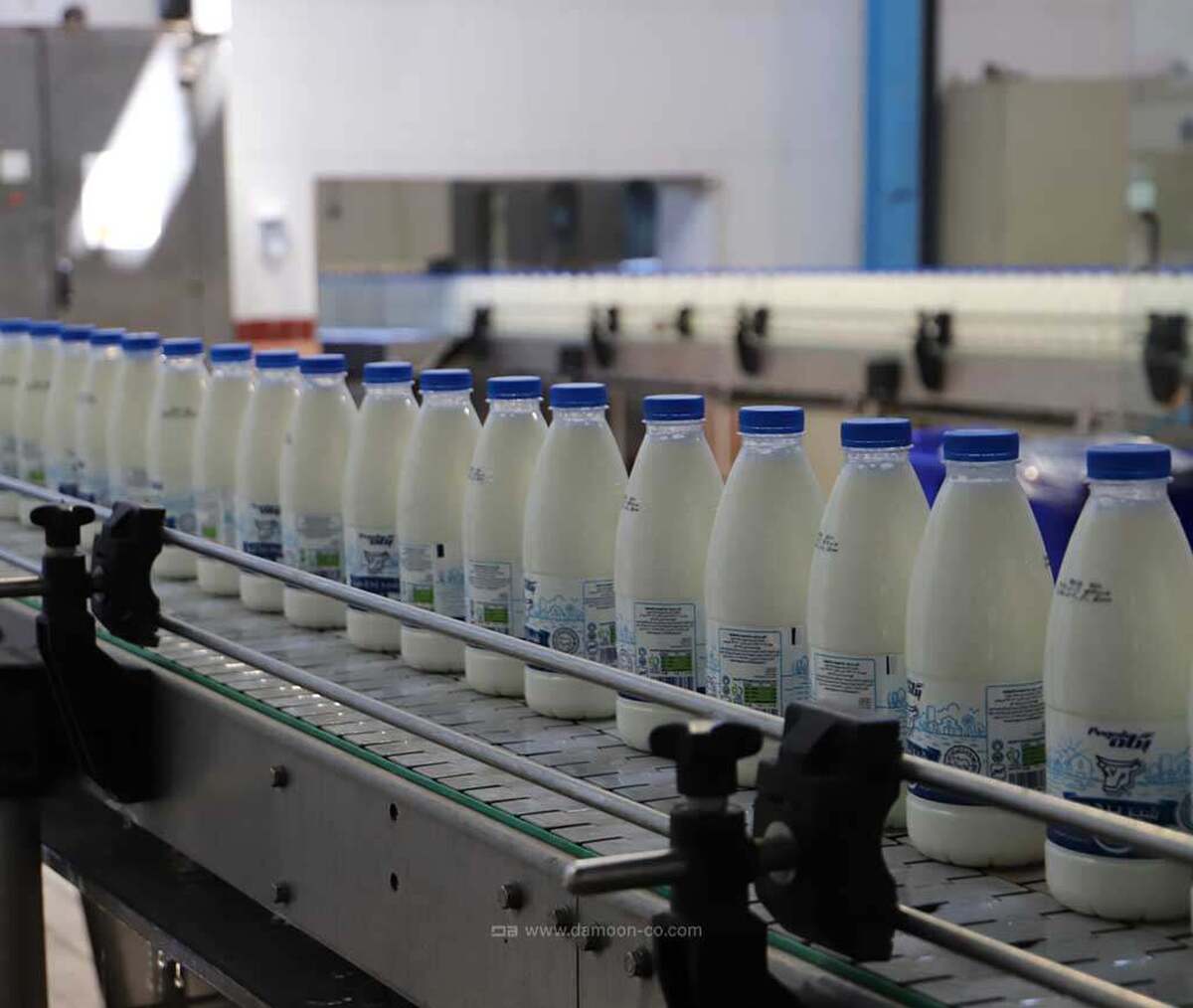 پشت پرده گرانی لبنیات چیست؟