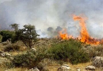 خطر افزایش آتشسوزی با گرما و وزش باد خطر افزایش آتشسوزی با گرما و وزش باد