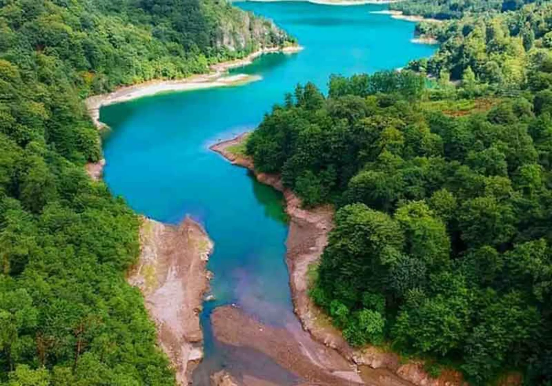 جاذبه‌های گردشگری جنگل دالخانی رامسر