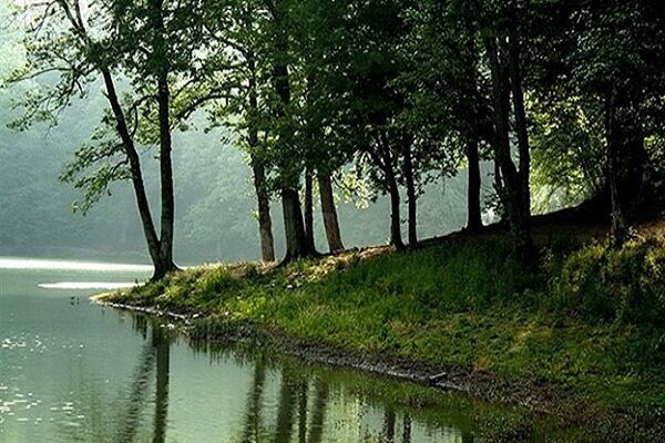 جاذبه‌های گردشگری جنگل دالخانی رامسر