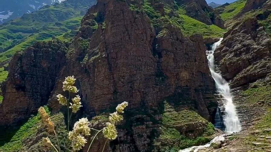 آبشار سیاه چشمان کجاست؟ | جاذبهای بکر در روستای الیت جاده چالوس آبشار سیاه چشمان کجاست؟ | جاذبهای بکر در روستای الیت جاده چالوس