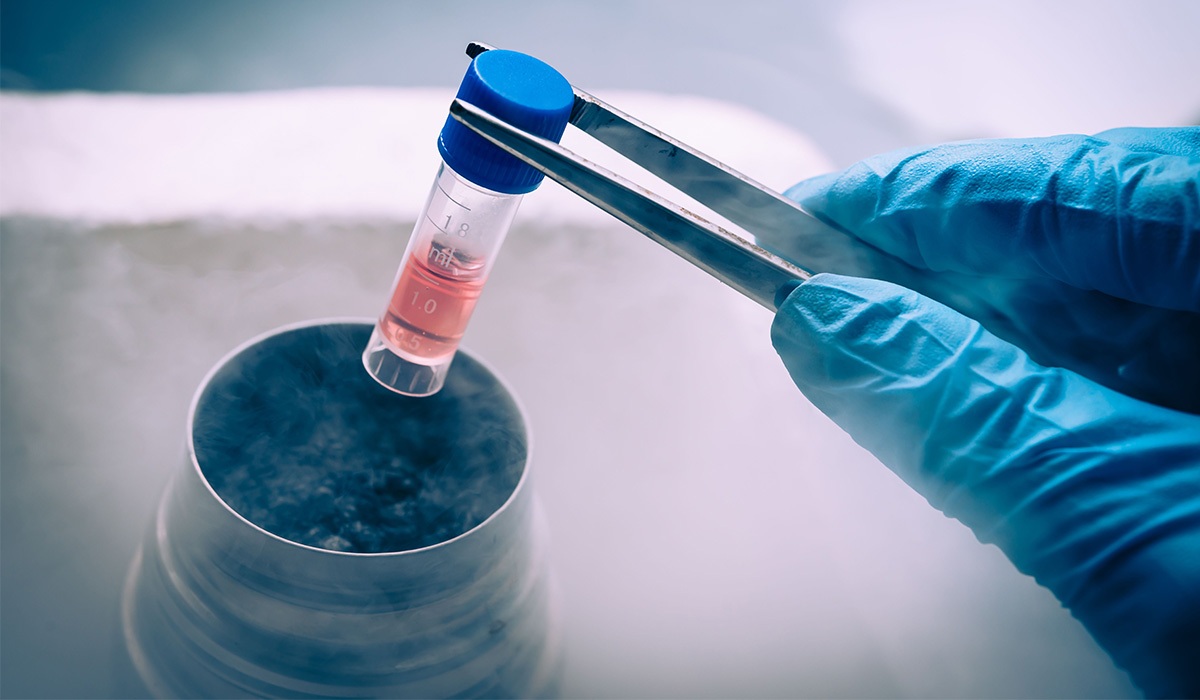 جنین‌ فریز شده