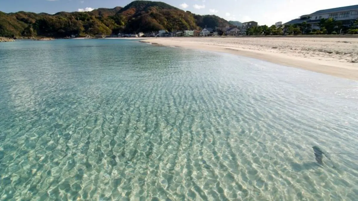 ببینید| امواج زلزله روسیه به ساحل ژاپن رسید!