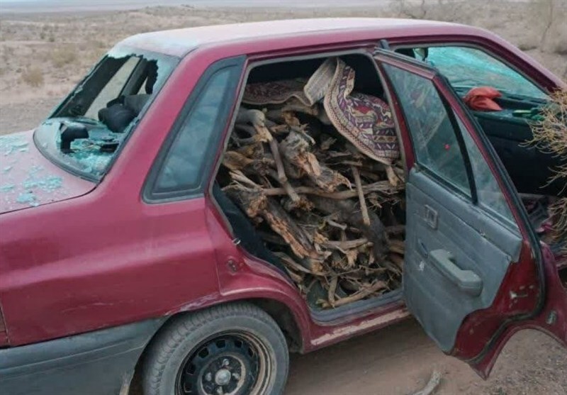 مجروحیت فرمانده یگان حفاظت منابع طبیعی اشتهارد در مقابله با قاچاقچیان چوب