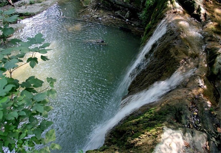 جاذبه های گردشگری جنگل دوهزار تنکابن