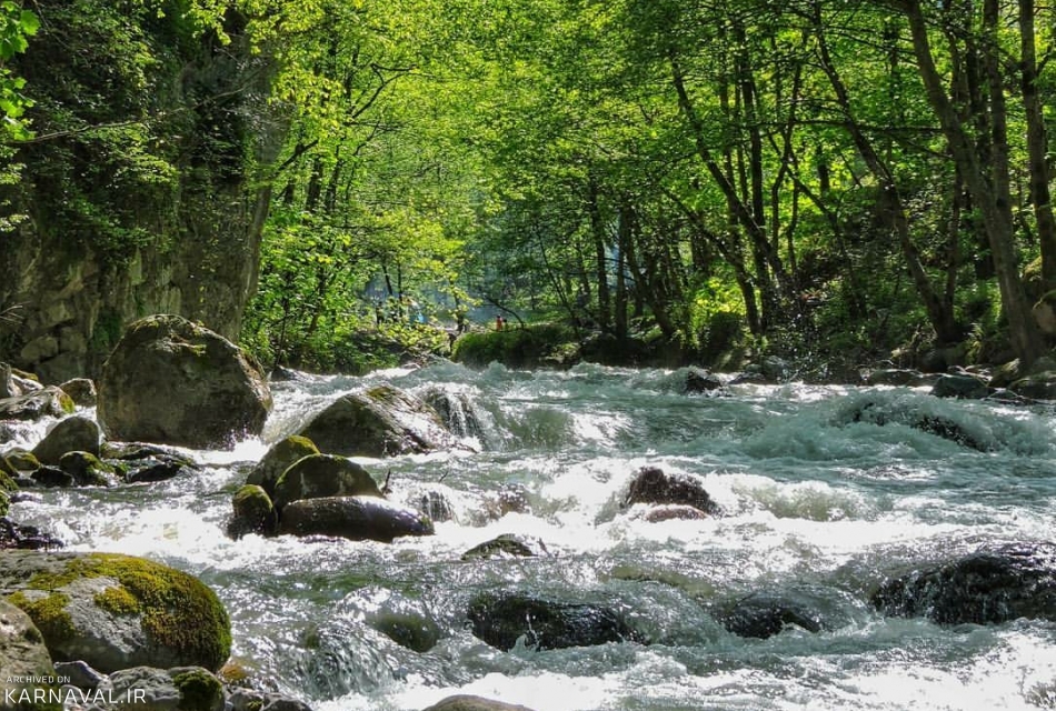 جاذبه های گردشگری جنگل دوهزار تنکابن