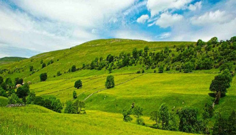 دشت ارژن کجاست؟ | دیدنی‌ها و طبیعت بکری حوالی شیراز