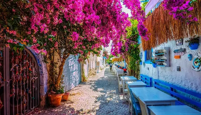 گردشگری ترکیه