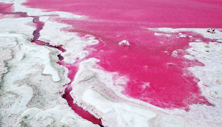 جاذبه های گردشگری دریاچه مهارلو شیراز جاذبه های گردشگری دریاچه مهارلو شیراز