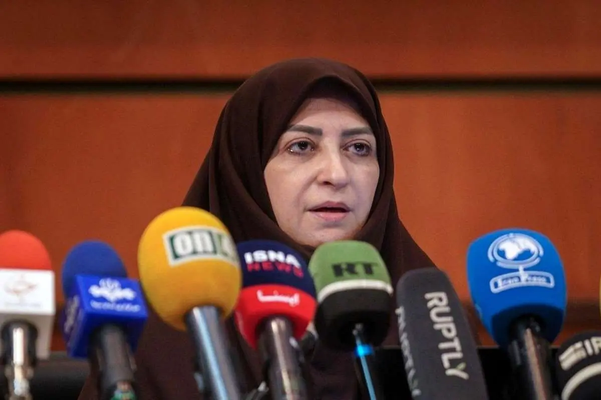 شینا انصاری