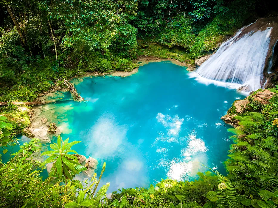 جنگل بلیران کجاست؟ |سفر به چشمه‌های آبگرم جنگلی