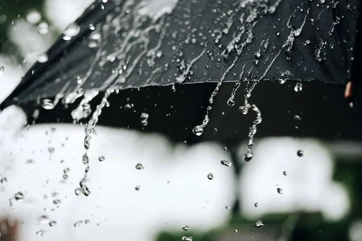 ببینید| بارش بسیار شدید باران هم اکنون منطقه آزاد انزلی