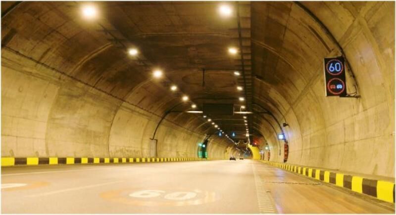 ببینید| حضور یک اسب وحشی در تونل آزادراه تهران شمال!