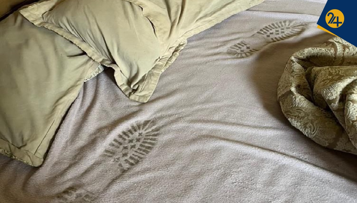 سرقت از جنگ زدگان