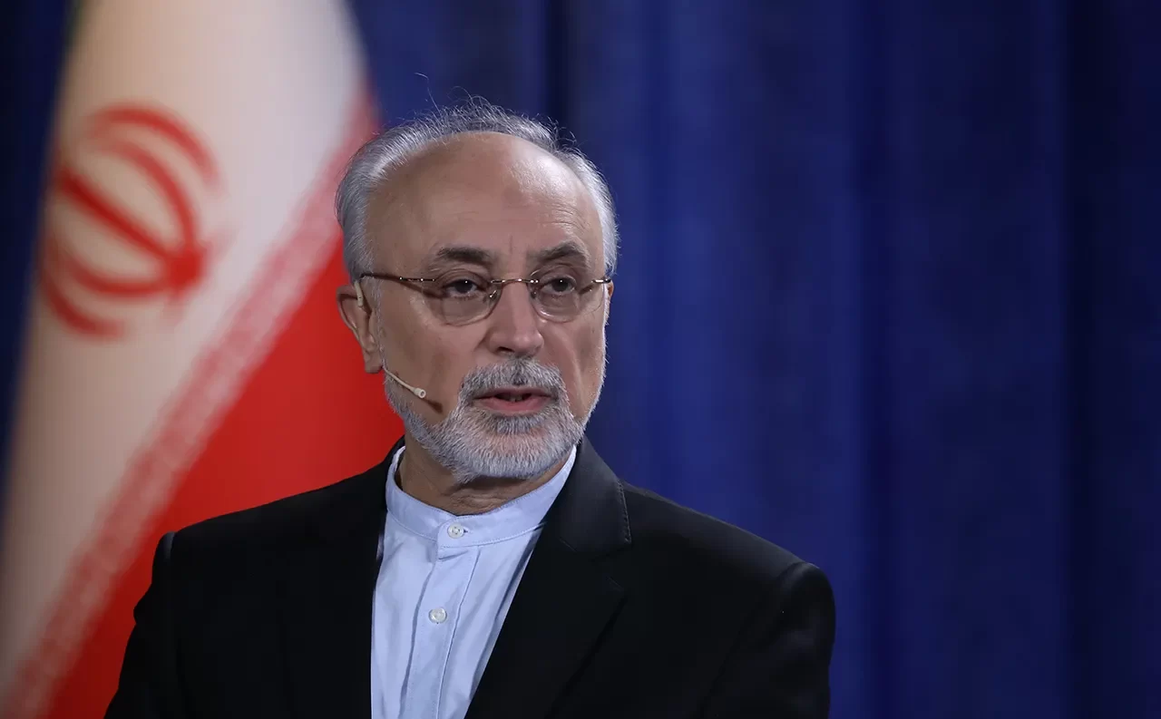 صالحی: خروج از NPT تنها توسط رهبری ممکن است صالحی