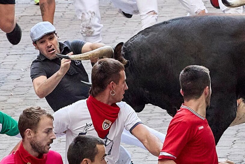 ببینید| حمله هولناک و عجیب یک گاو به قنادی