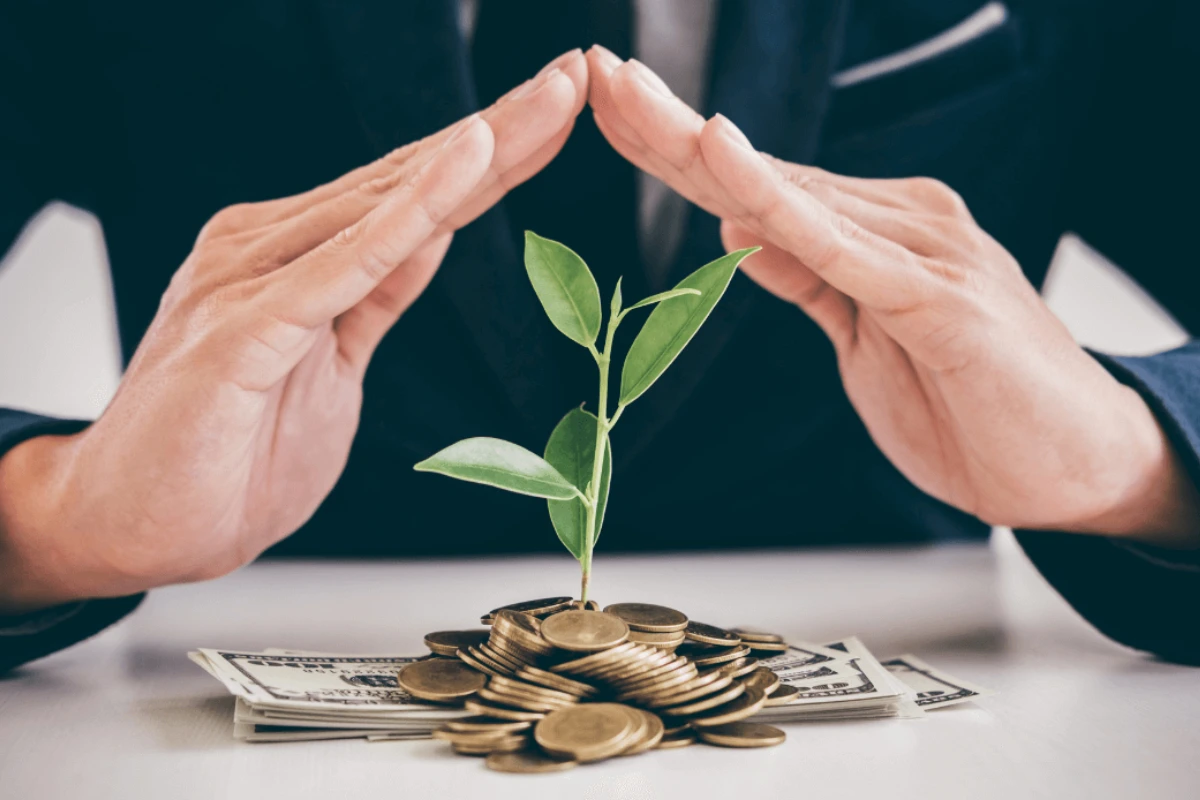 بهترین پیشنهاد برای سرمایه‌گذاری پس از اسنپ‌بک