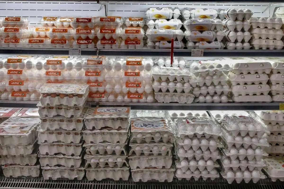  عبور قیمت تخم‌مرغ از مرز ۲۰۰ هزار تومان