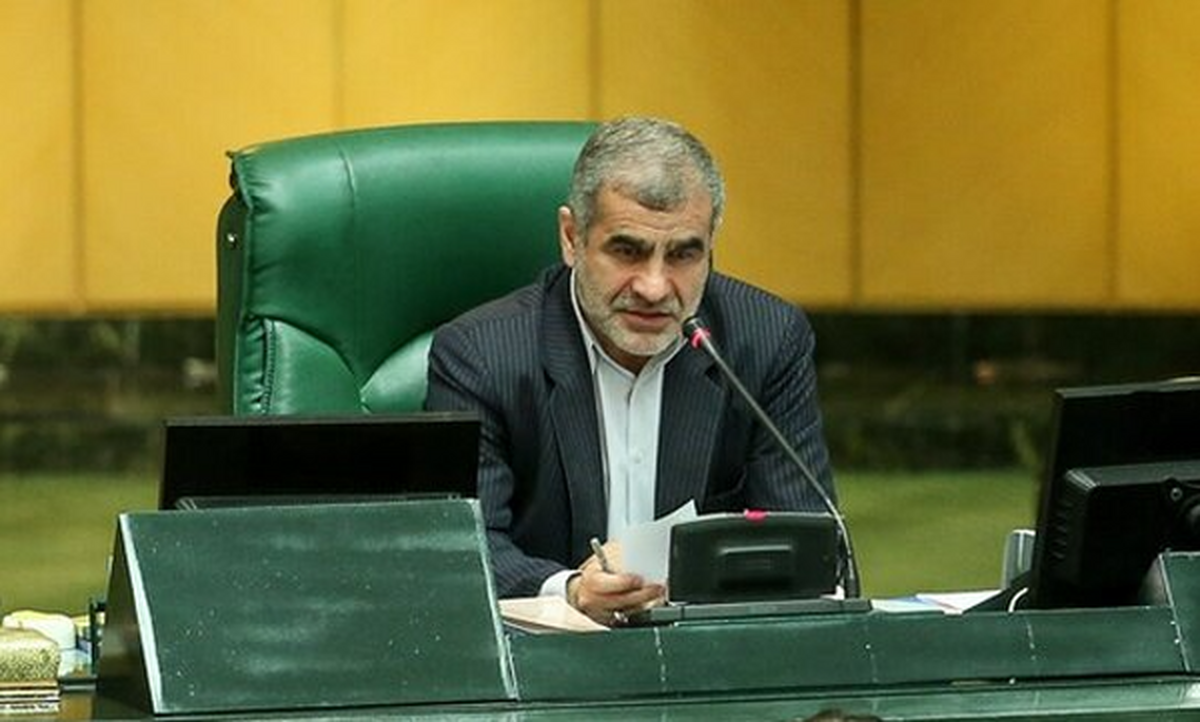 توضیحات مهم نائب رئیس مجلس درباره لایحه حمایت از زنان توضیحات مهم نائب رئیس مجلس درباره لایحه حمایت از زنان