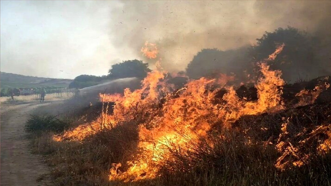 آتش‌سوزی هورالعظیم