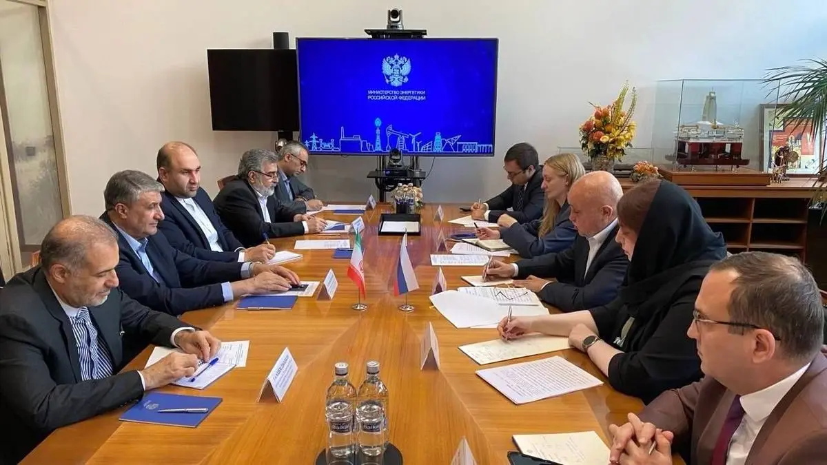 دیدار رئیس سازمان انرژی اتمی ایران با وزیر انرژی روسیه دیدار رئیس سازمان انرژی اتمی ایران با وزیر انرژی روسیه