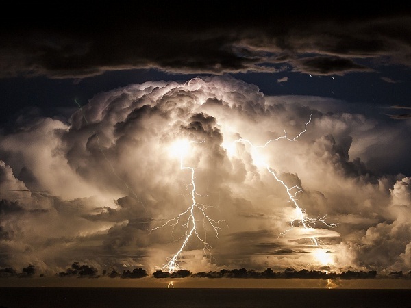 ببینید| صاعقه درخت نخل را به آتش کشید