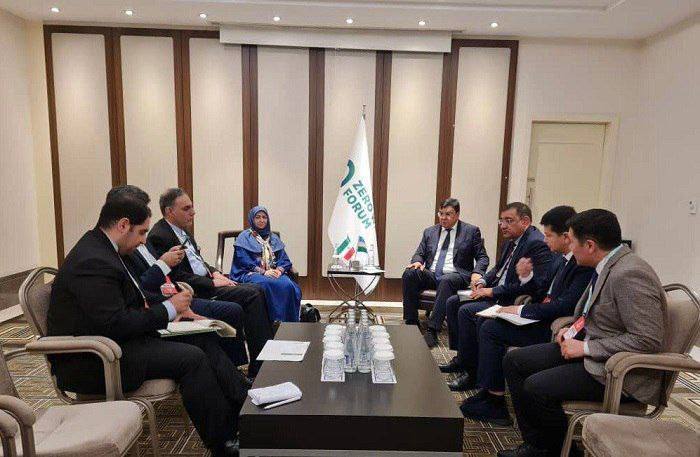 تور چهار شب و پنجروز مدیران ارشد سازمان محیط زیست به استانبول | همایش «پسماند صفر» در ترکیه با حضور «کارشناس صفر» هیأت ایرانی تور چهار شب و پنجروز مدیران ارشد سازمان محیط زیست به استانبول | همایش «پسماند صفر» در ترکیه با حضور «کارشناس صفر» هیأت ایرانی