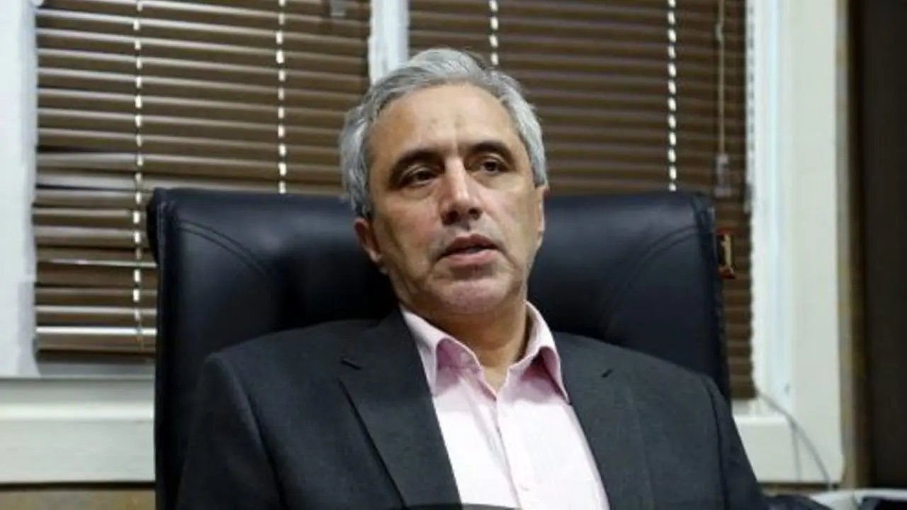 میرمحمدصادقی: دولت پزشکیان کند و محافظه‌کار است