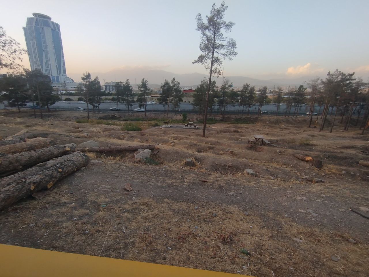 بریدن درختان پارکجنگلی سرخه حصار بریدن درختان پارکجنگلی سرخه حصار