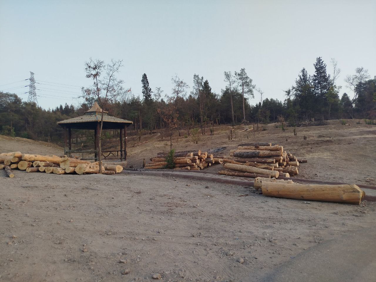 بریدن درختان پارکجنگلی سرخه حصار بریدن درختان پارکجنگلی سرخه حصار