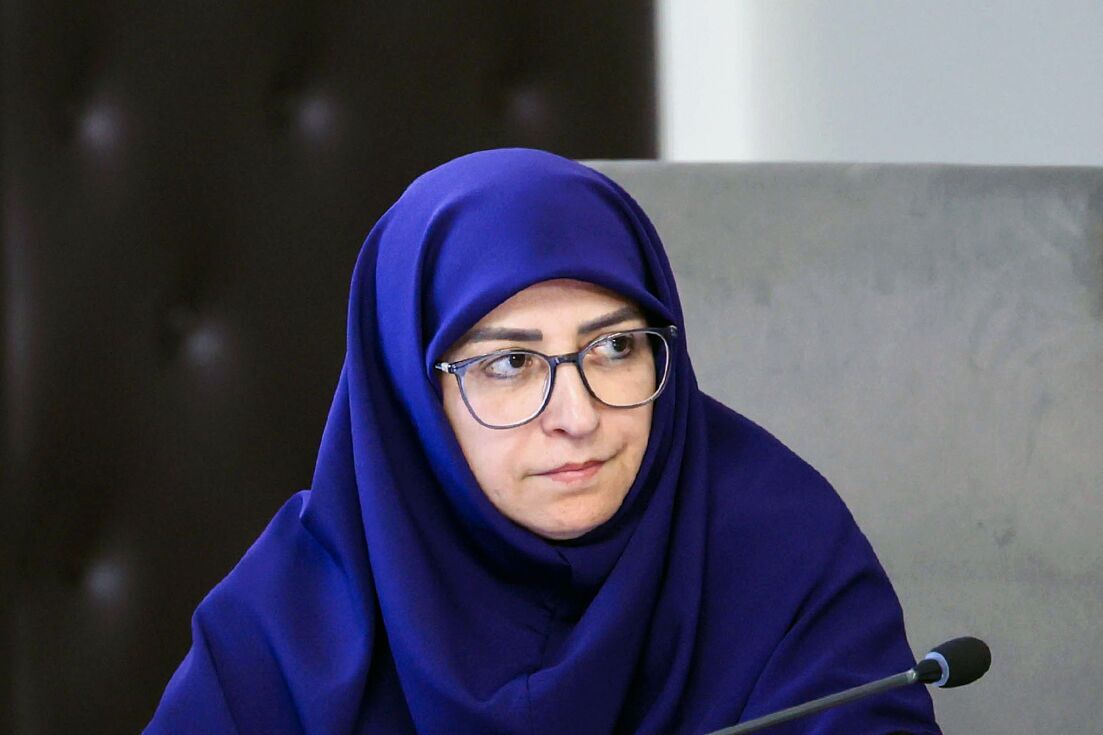 واکنش توییتری شینا انصاری به حواشی اخیر؛ هزینه سفر کمتر از رقم مصوب است پشینا انصاری