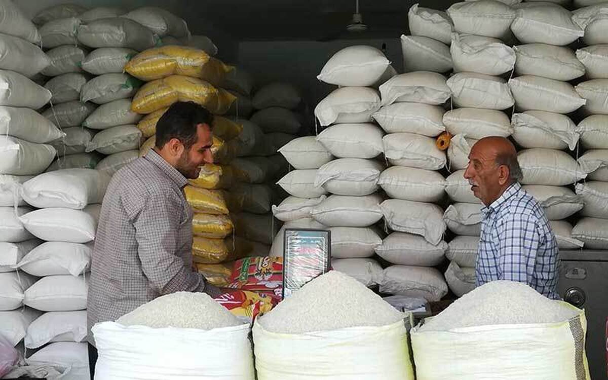 کشاورزان برنج شمال را عرضه نمی‌کنند؛ بازار در آستانه کمبود