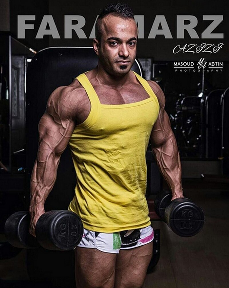 علت درگذشت فرامرز عزیزی