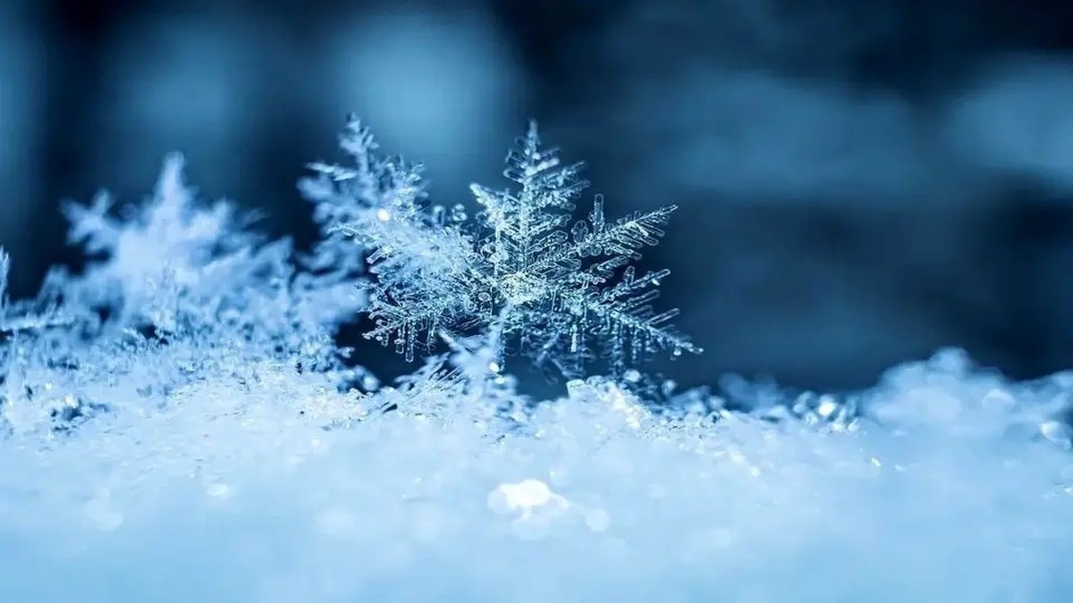 ببینید| ایستگاه ۷ توچال در نخستین برف پاییزی سفیدپوش شد