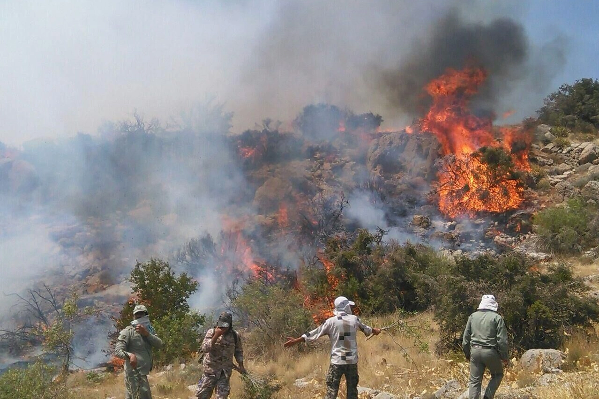 پاسخ به ۴ سوال مهم درباره آتش‌سوزی جنگل الیت مرزن آباد