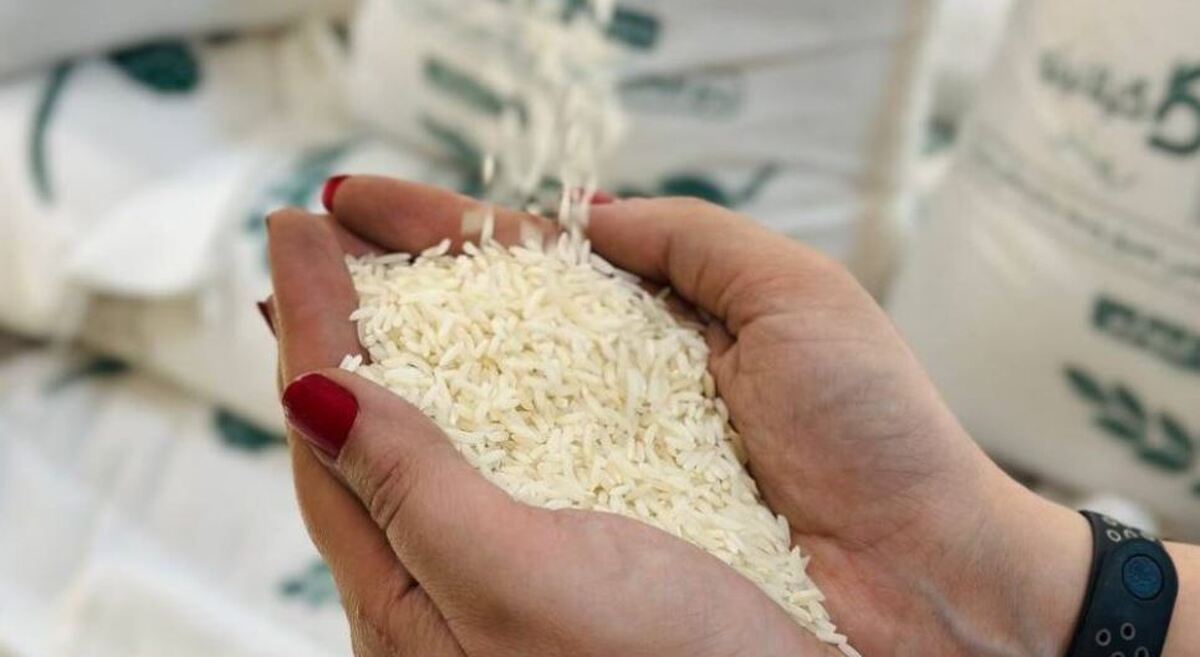 عضو اتاق بازرگانی: رانت برنج دبش، فراتر از کل درآمد اتاق بازرگانی است