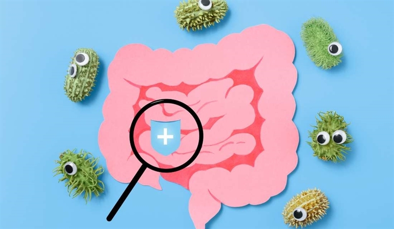 تأثیر آلودگی هوا بر دستگاه گوارش