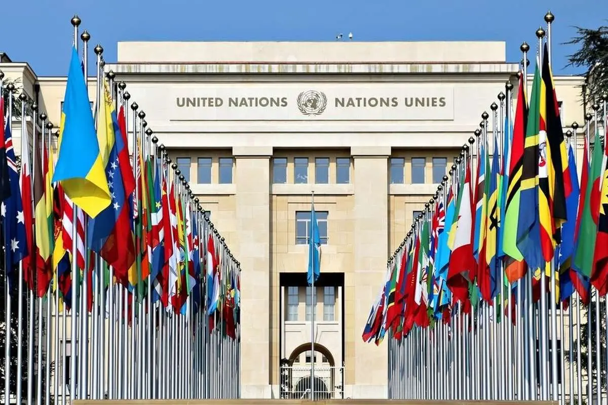 سازمان ملل
