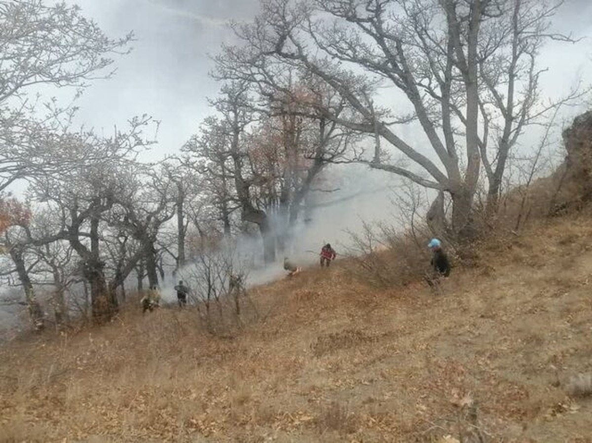 آتش‌سوزی جدید در جنگل الیت؛ شایعه یا واقعیت؟