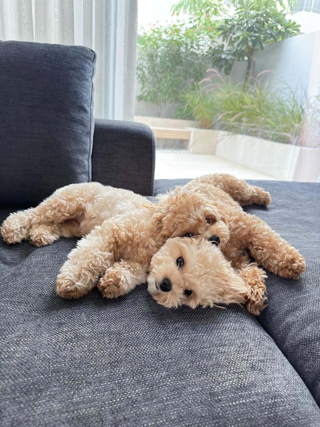 پست اینستاگرامی مهدی قائدی به مناسبت تولدش همراه پسر خردسال خود +تصاویر پست مهدی قائدی