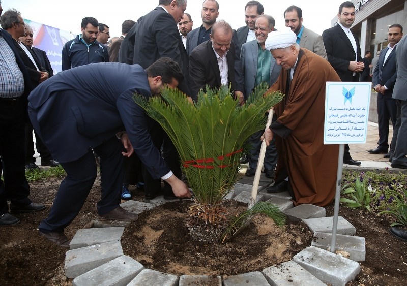 هاشمی در کیش هاشمی در کیش