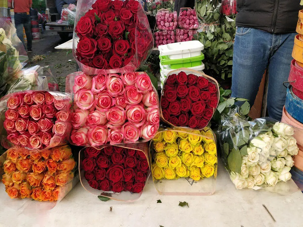 شوک قیمتی بازار گل در آستانه روز مادر بازار گل در آستانه روز مادر