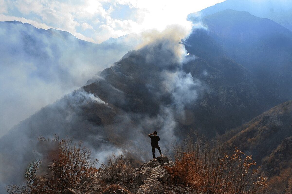 آخرین اخبار از آتش سوزی جنگلهای الیت| معاون محیط زیست: آتش ۸۰ درصد آرامتر شده، اما باران لازم است آتش سوزی جنگلهای الیت