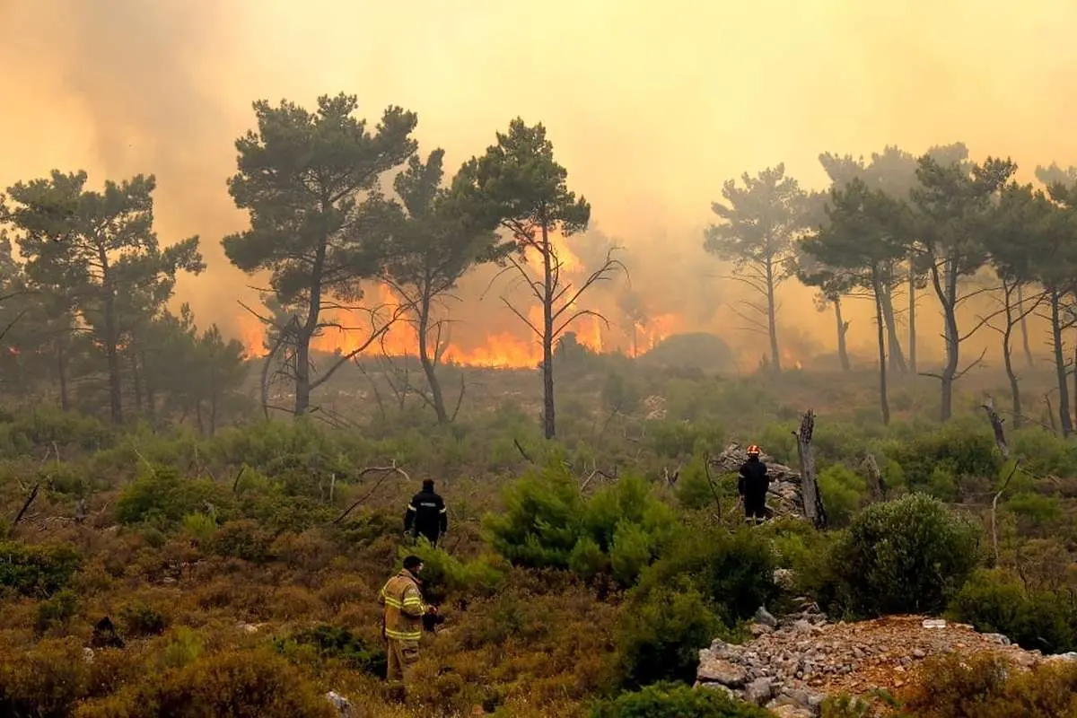 رئیس سازمان مدیریت بحران کشور: آتش‌سوزی جنگل‌های الیت مهار شده است