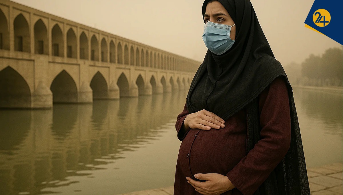 بارداری بارداری