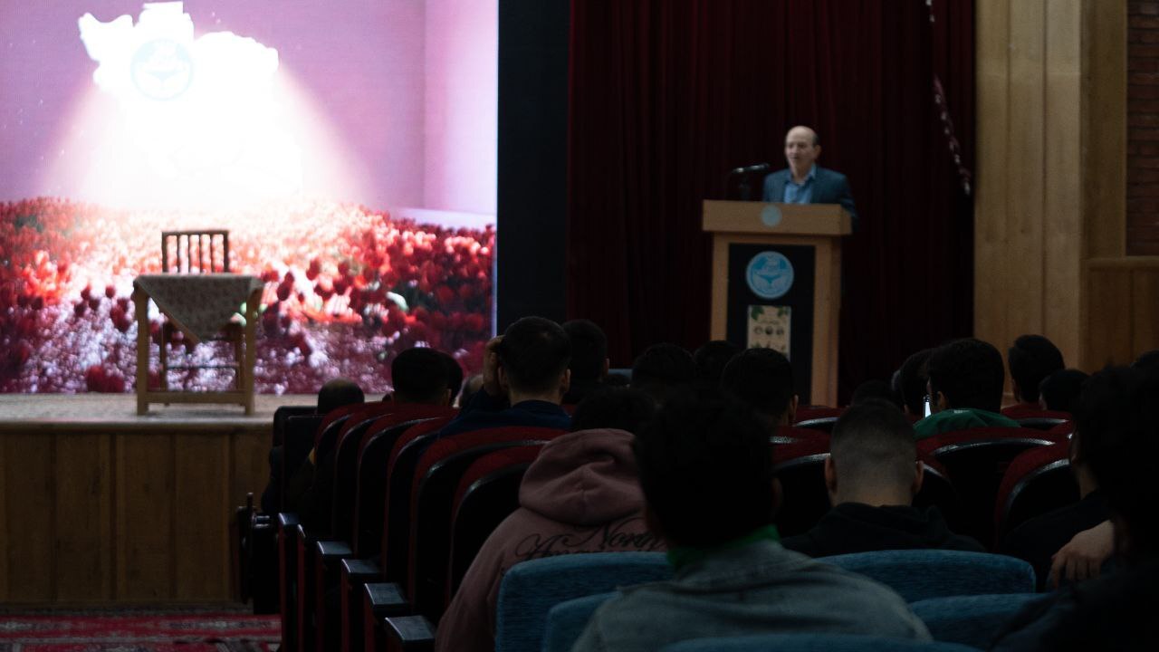 دانشگاه دانشگاه