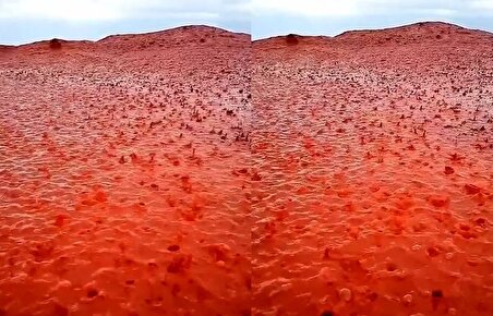 رقص باران بر خاک سرخ هرمز؛ طبیعت جزیره تصویری کم‌نظیر ساخت