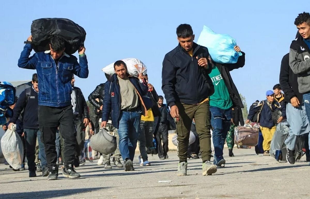 میانگین حضور اتباع افغانستانی در ایران به پنج میلیون نفر رسیده است